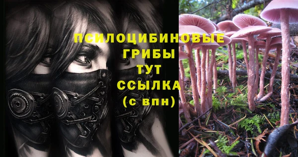 дмт Новозыбков