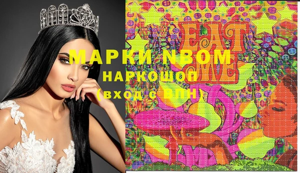 дмт Новозыбков