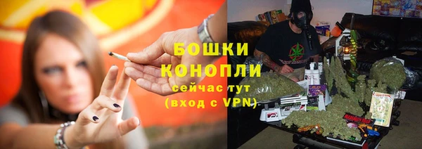 герыч Болотное