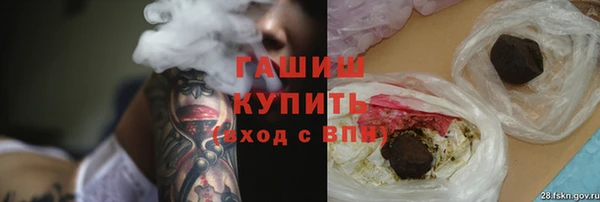 дмт Новозыбков