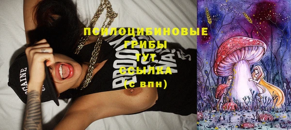 дмт Новозыбков