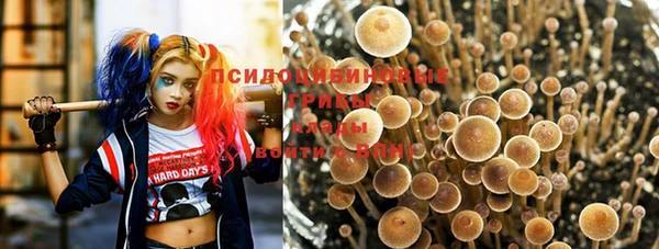 apvp Новодвинск