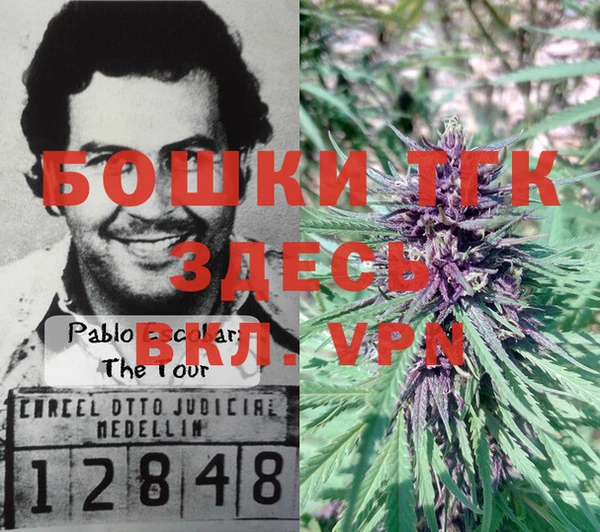 apvp Новодвинск