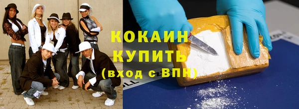 дмт Новозыбков