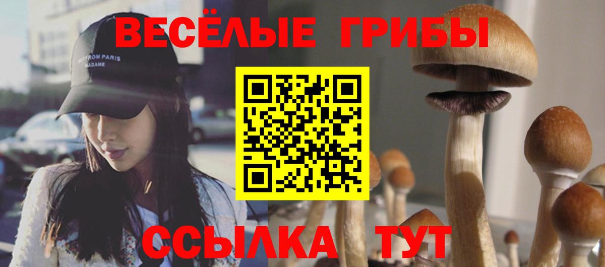 Псилоцибиновые грибы мухоморы Стрежевой
